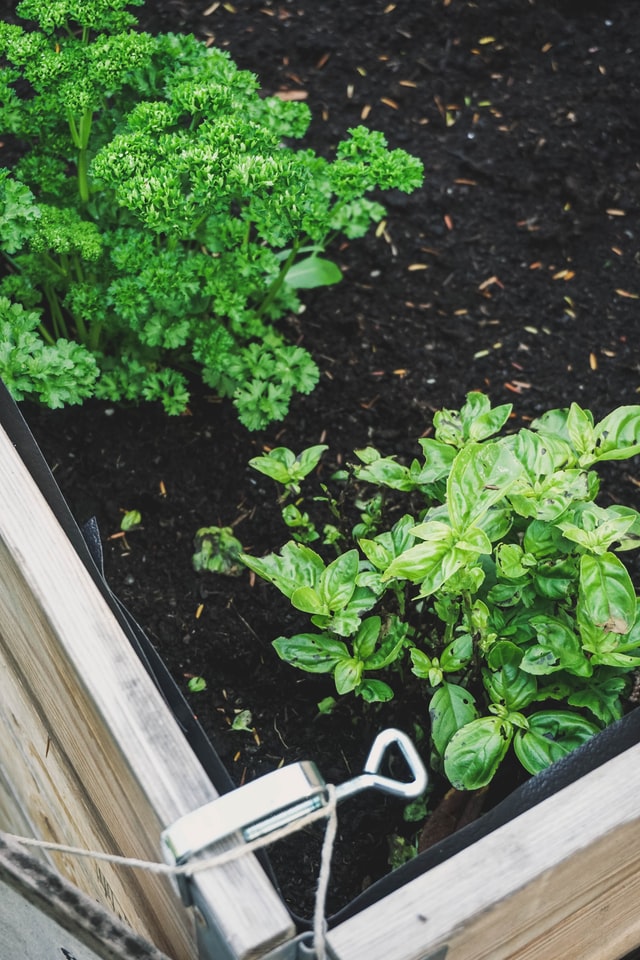 Moestuintje beginnen