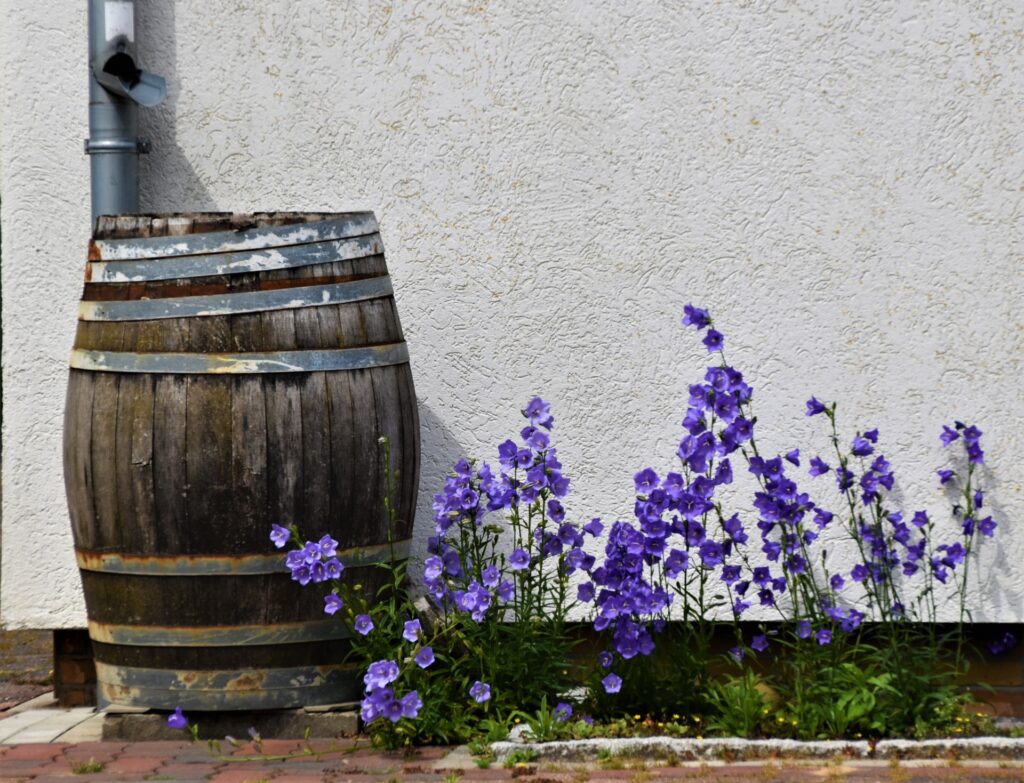 Regenton met bloemen ernaast