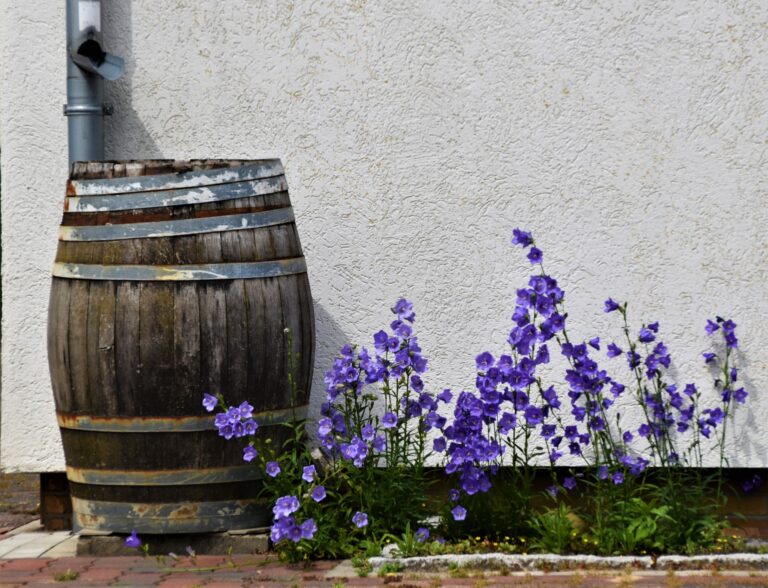 Regenton met bloemen ernaast