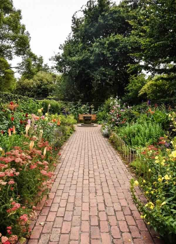 Een pad tussen wilde beplanting in een tuin