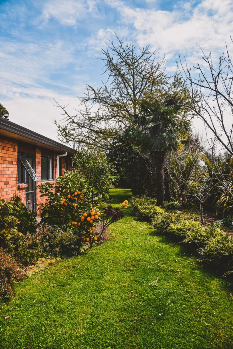 Tuintje omringd met struiken en bomen