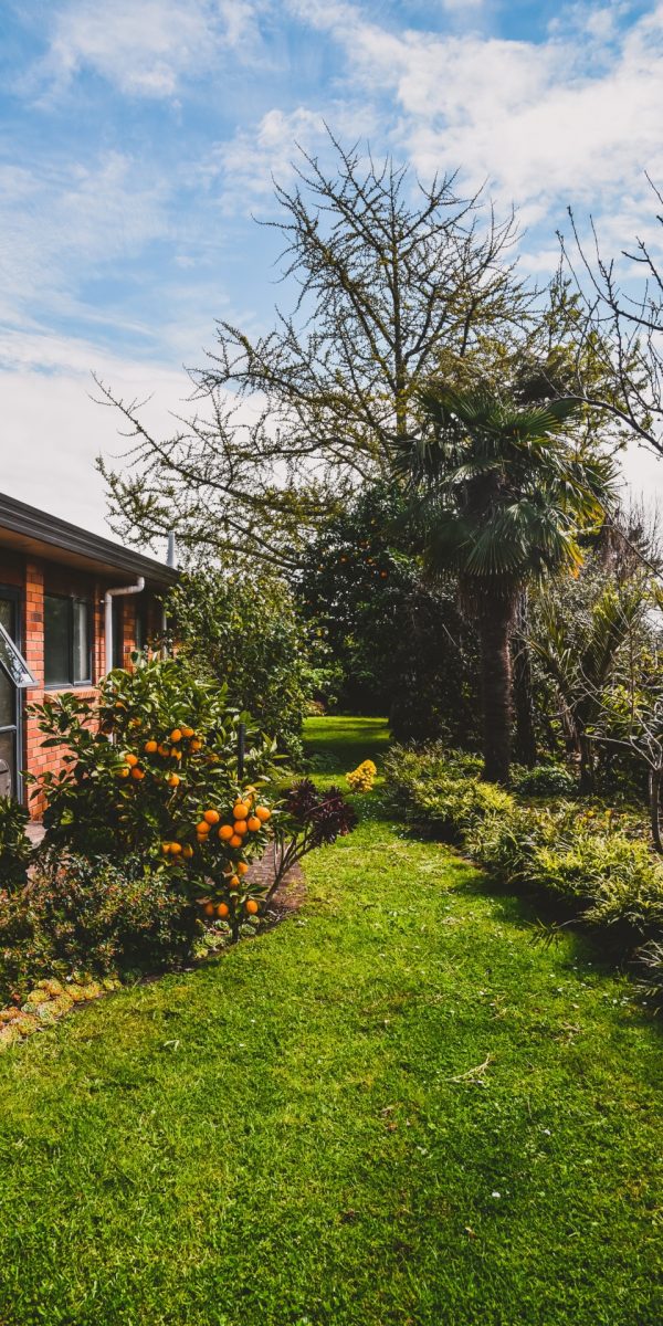 Tuintje omringd met struiken en bomen