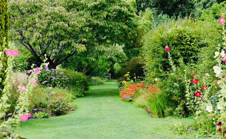 Groene tuin met struiken, bomen en bloemen.