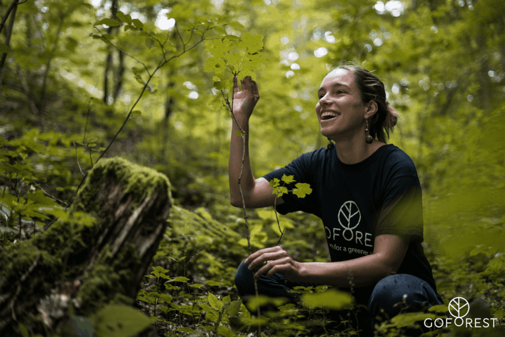 Go forest foto