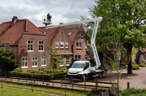 OIL&STEEL Snake2010H (DEMO)