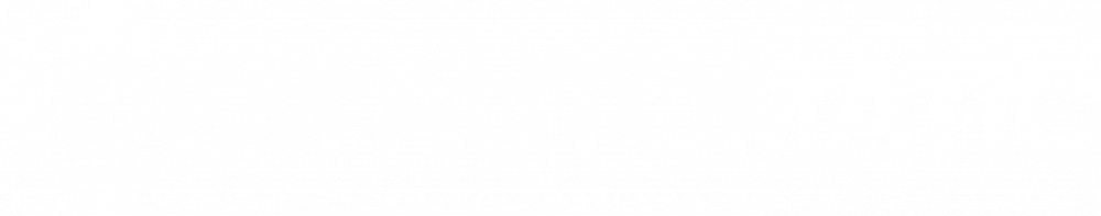 OEM Automatic.