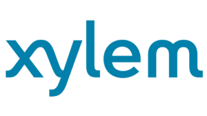 xylem