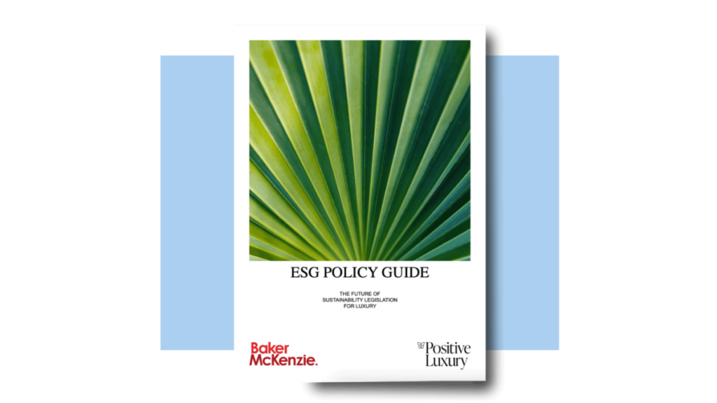 GUIDA ALLA POLITICA ESG: IL FUTURO DELLA LEGISLAZIONE SULLA SOSTENIBILITÀ PER IL LUSSO