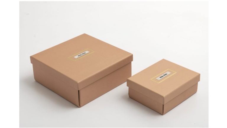 Miu Miu ha scelto la Flat Box