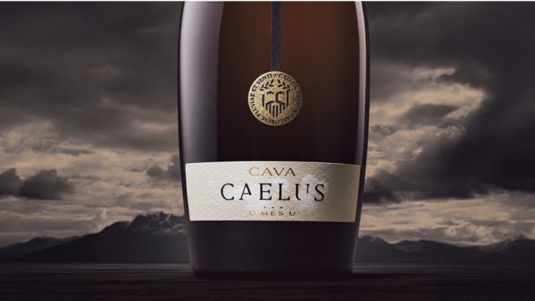 Caelus cava