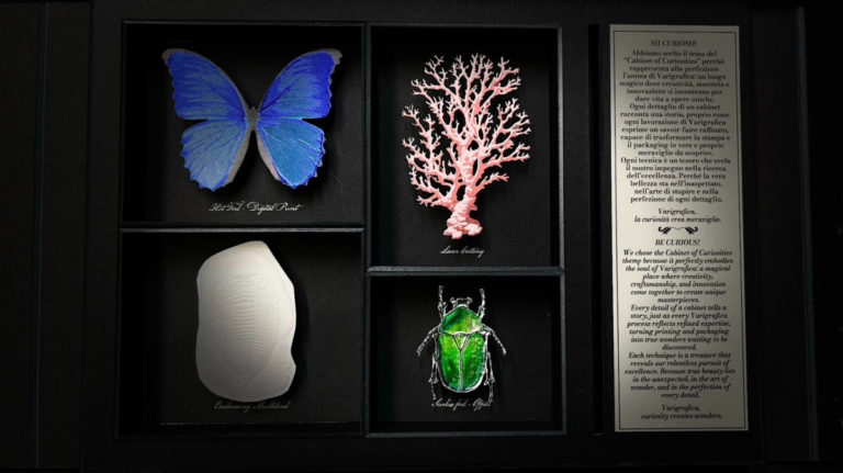 Cabinet of Curiosities