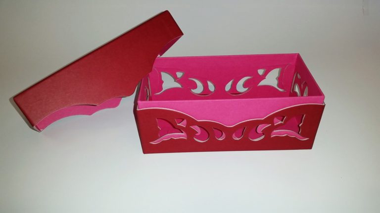 Luxury packaging with a laser die-cut