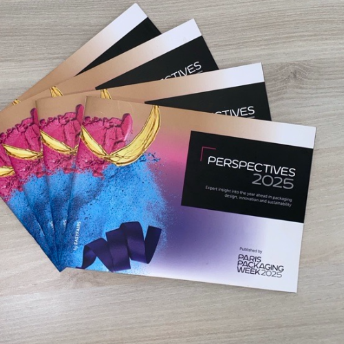 Perspectives sponsor 500x500 (1)