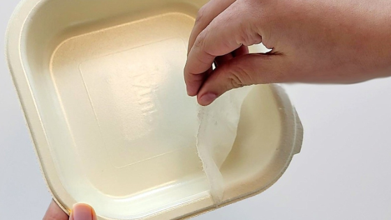 NATURE Fibre tray, peel-away liner