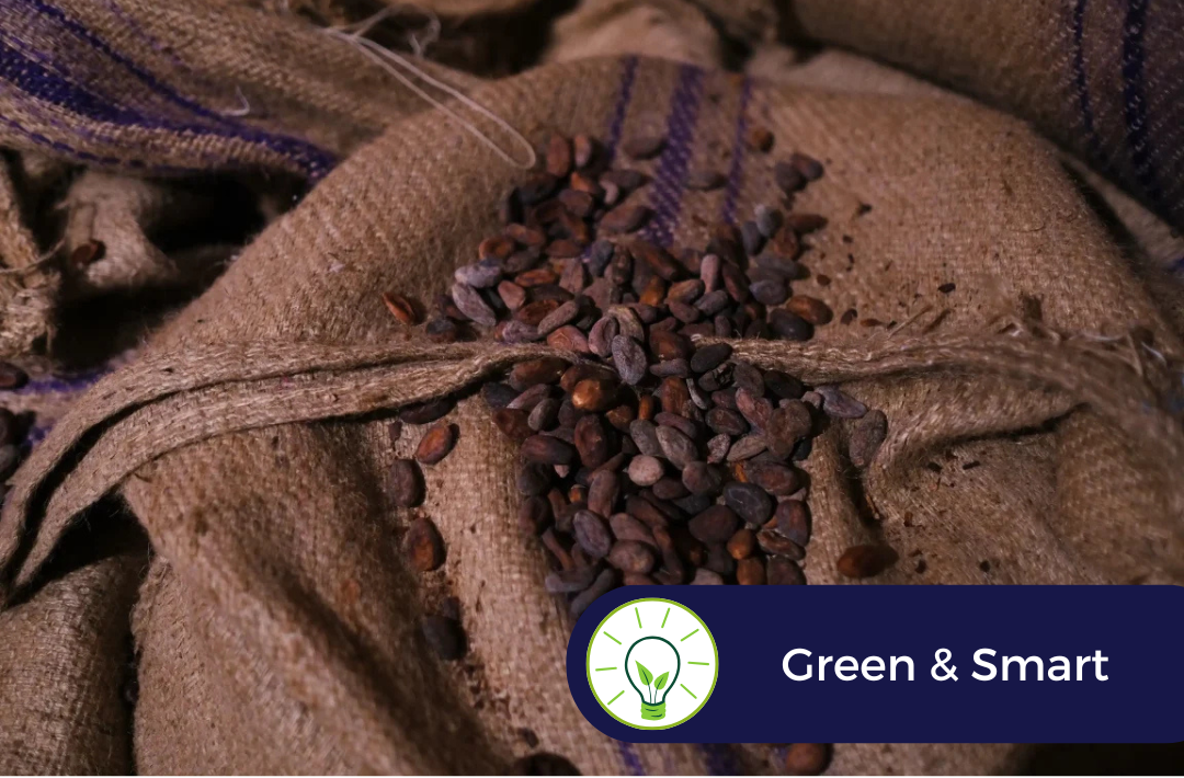 noticia bean to bar Green & Smart