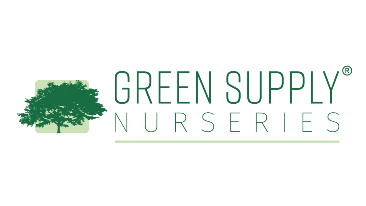 Green Supply BV