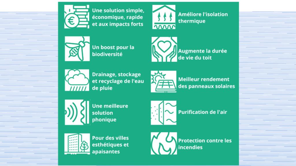 Les avantages des toitures végétales