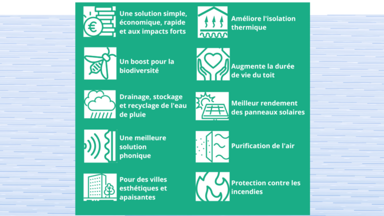 Les avantages des toitures végétales