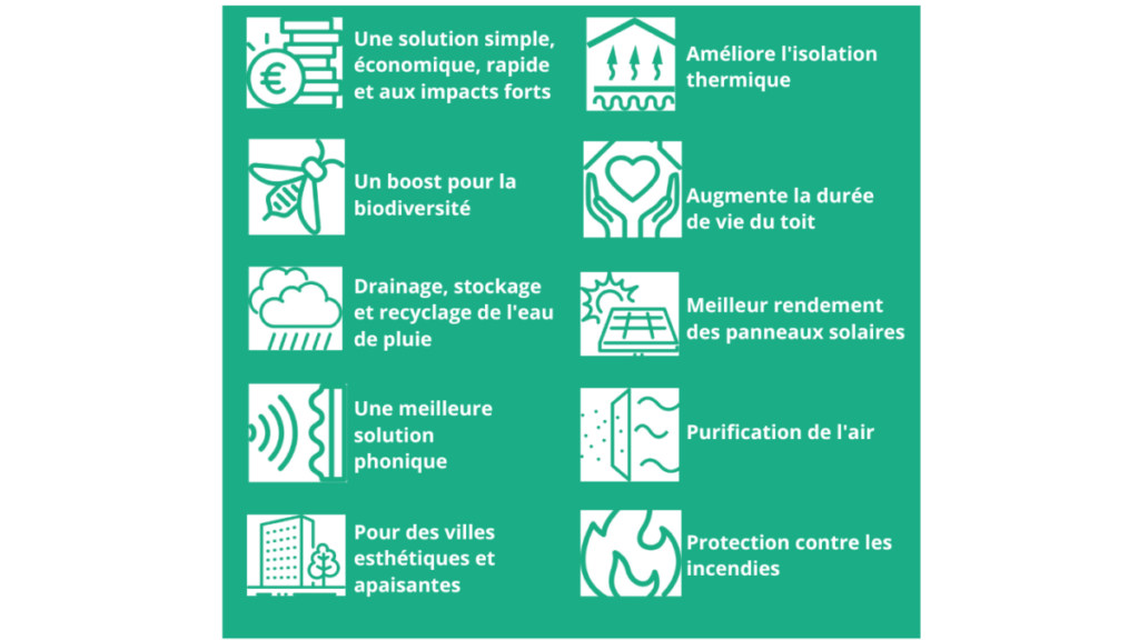 Les avantages des toitures végétales