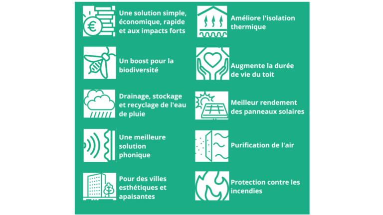 Les avantages des toitures végétales