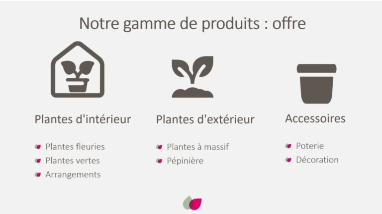 Notre gamme de produits comprend une offre équilibrée de plantes d’intérieur, de plantes d’extérieur et d’accessoiresOur product range comprises of a balanced offering of Indoor Plants, Outdoor Plants and Accessories