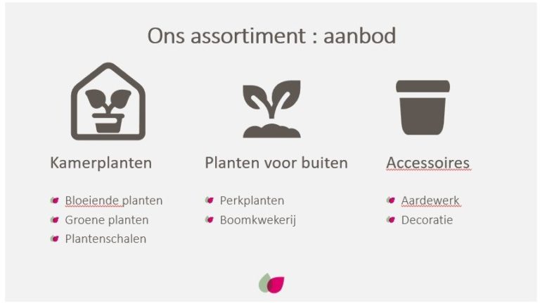 Ons assortiment bestaat uit een evenwichtig aanbod van kamerplanten, buitenplanten en accessoiresOur product range comprises of a balanced offering of Indoor Plants, Outdoor Plants and Accessories