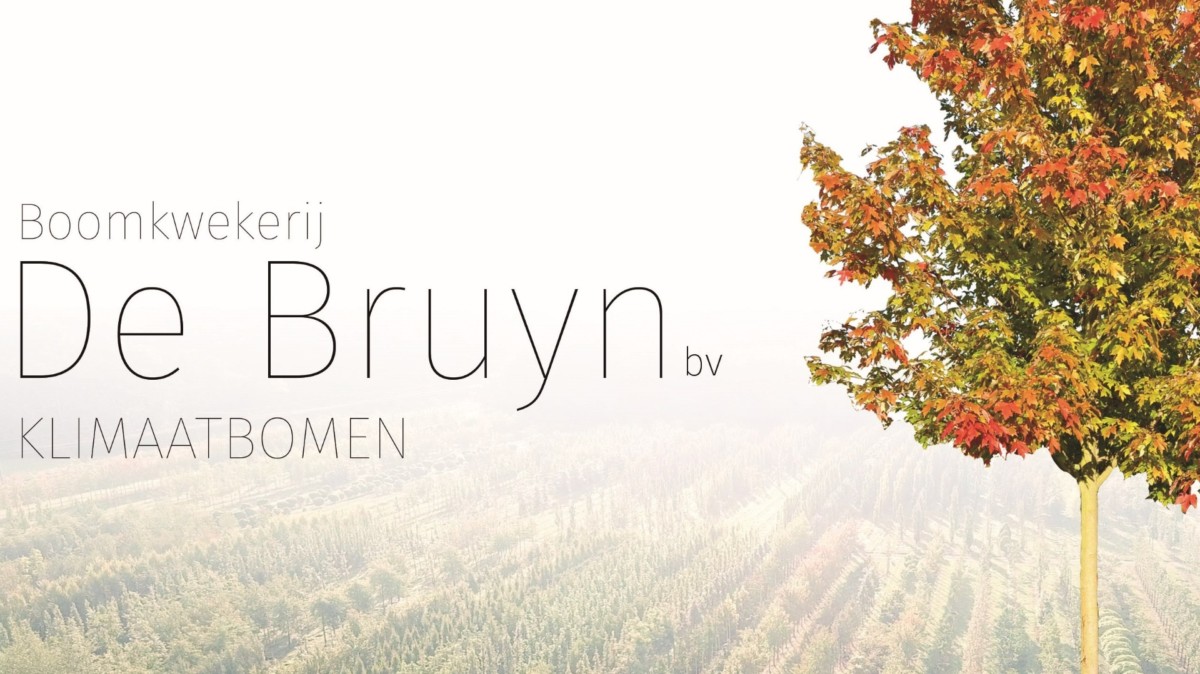 Arbres et changement climatique