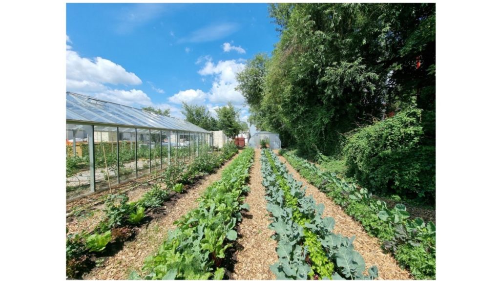 Potagers et vergers pour entreprises