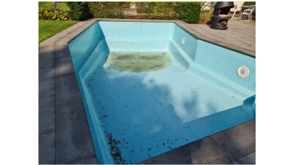 Maintenance & Service