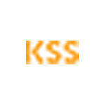 NEWFB2021_website_Logobox_V5_.psd_0010_KSS.png