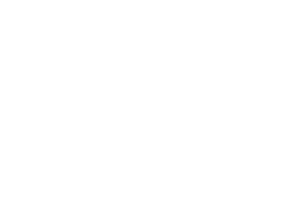 SINAA 2026 White Logo
