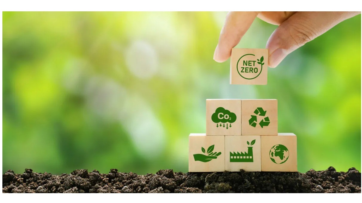 Sustainable Packaging for Food