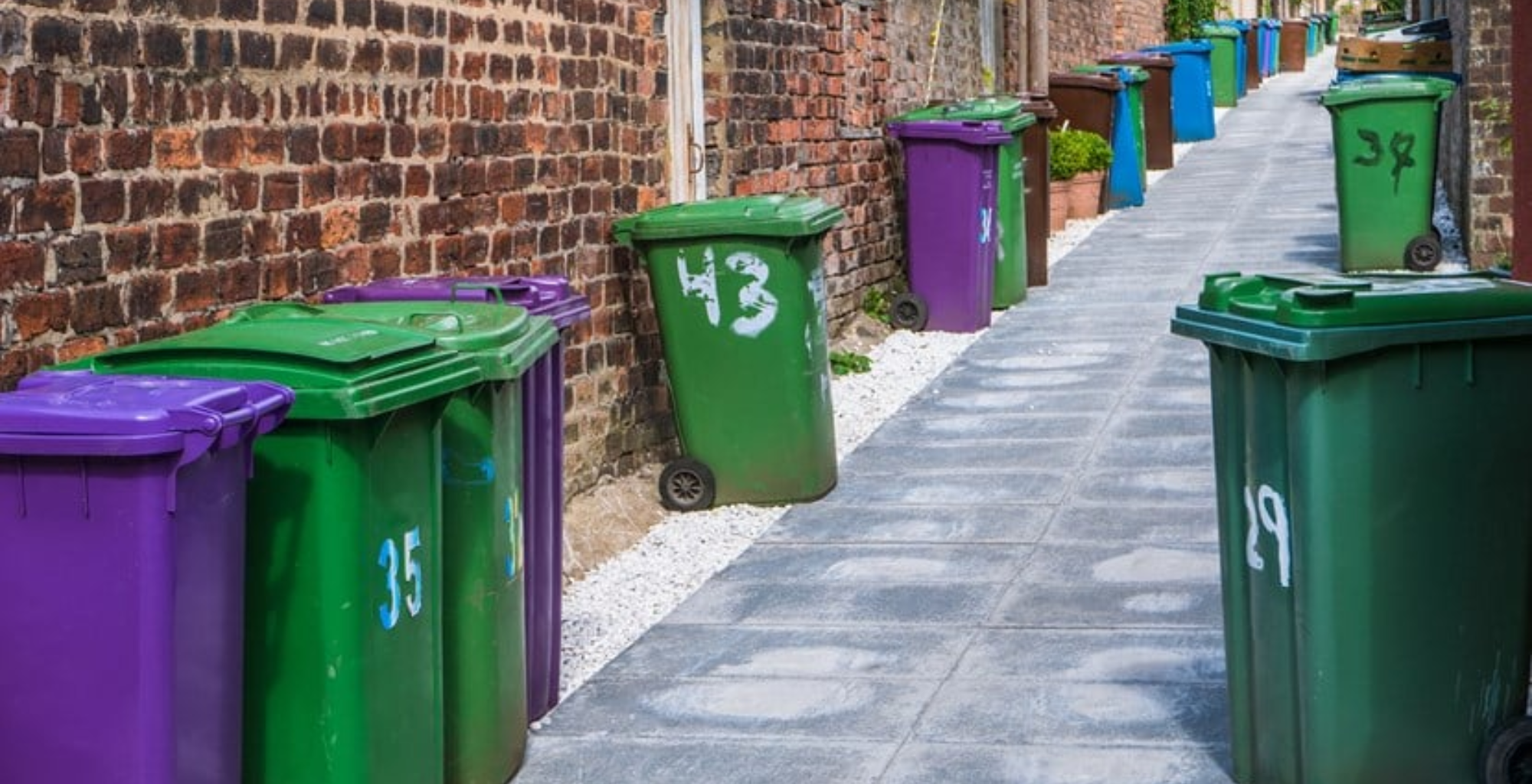 UK Packaging PRO Appointed to Lead the UK’s Packaging Recycling Scheme