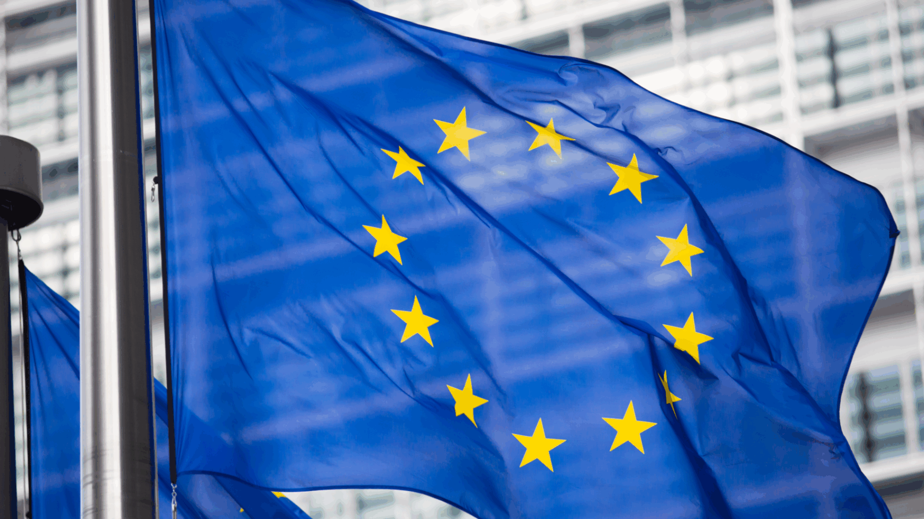 PPWR Rules Now Apply: Key Packaging Compliance Requirements