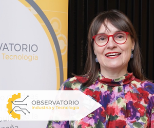 inmaculada blazquez observatorio industria