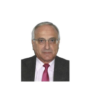 Presidente del Comit&eacute; Nacional de Medioambiente en UNE - AENOR