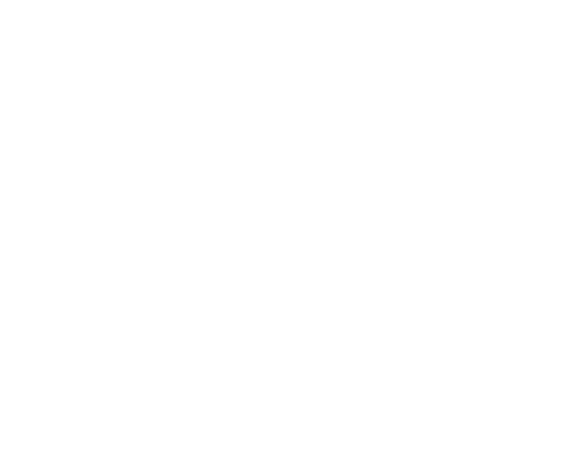 Made in Asia logo white