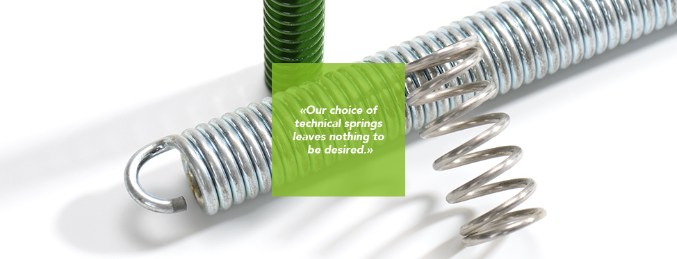 Technical Springs