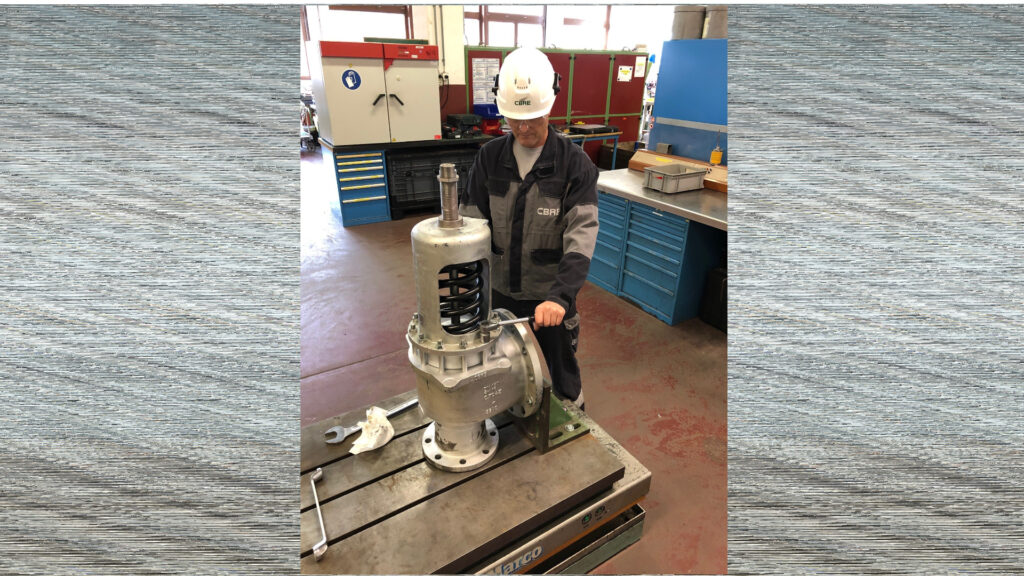 Pumps & Valves Service