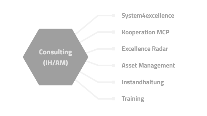 Consulting (IH/AM)
