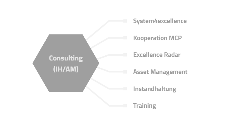Consulting (IH/AM)