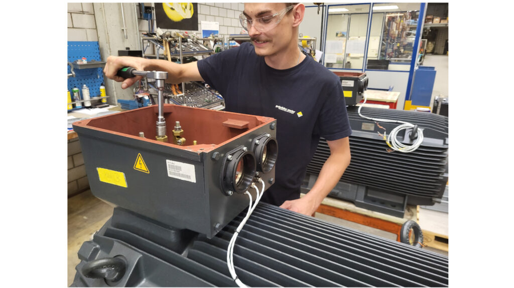 Elektromotoren Service & Revision