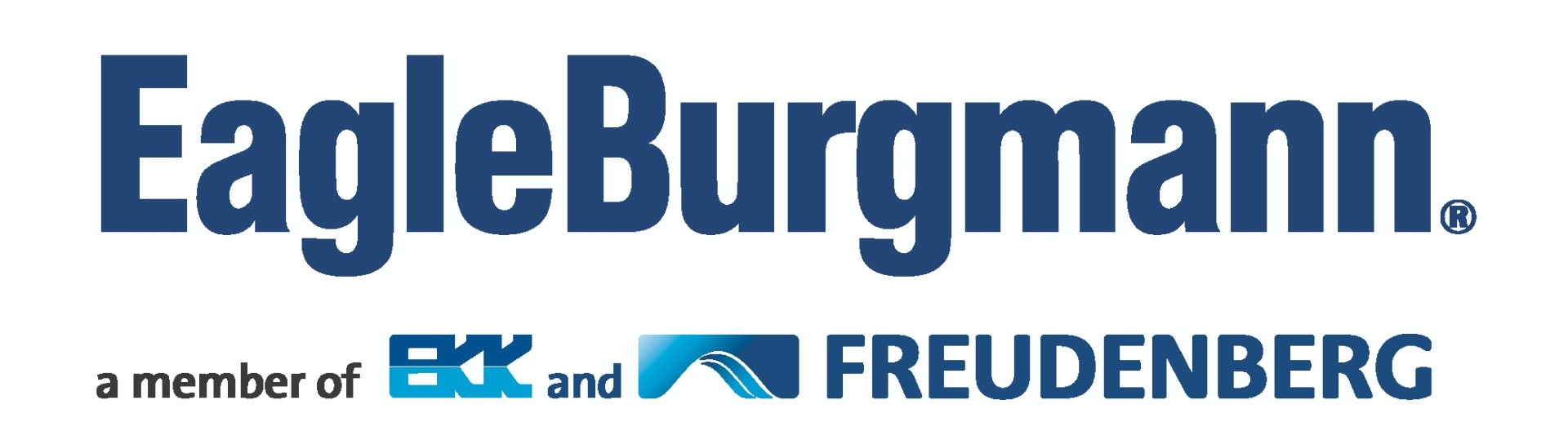 EagleBurgmann Switzerland AG