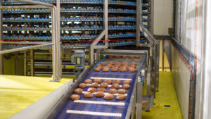 Systèmes de transport pour l’industrie alimentaire