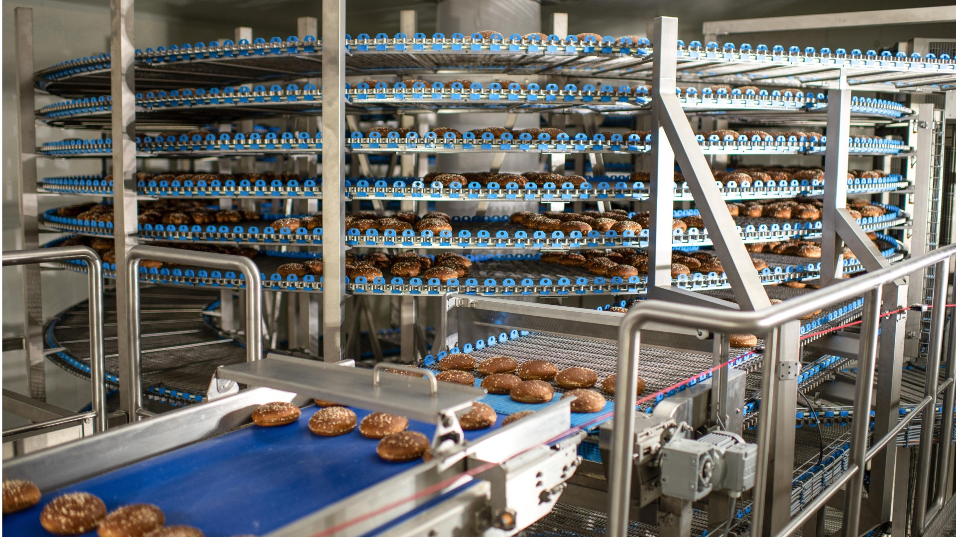 Conveyor systems in the food sector