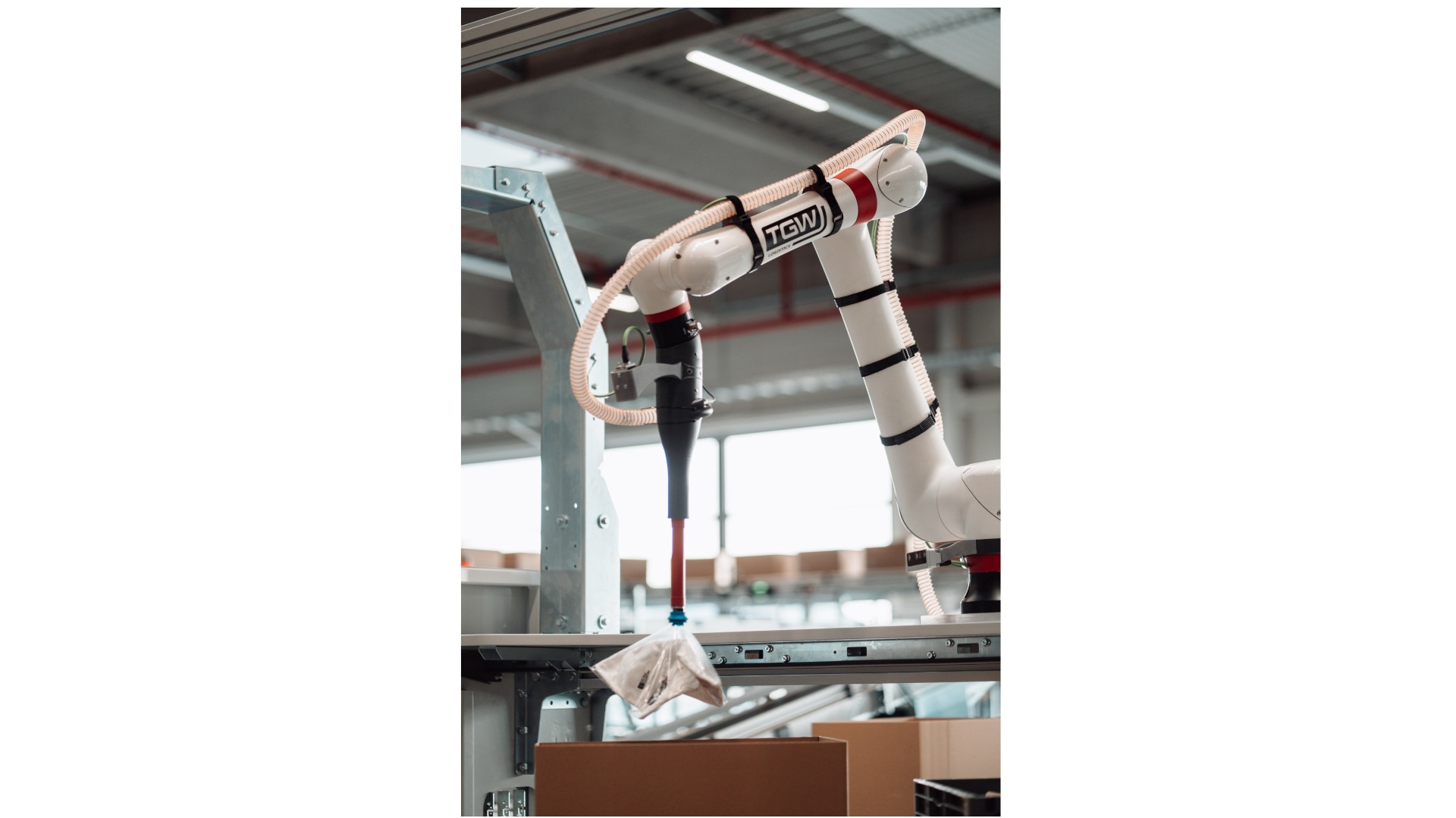 AI-supported picking robot for fully automated single-item picking