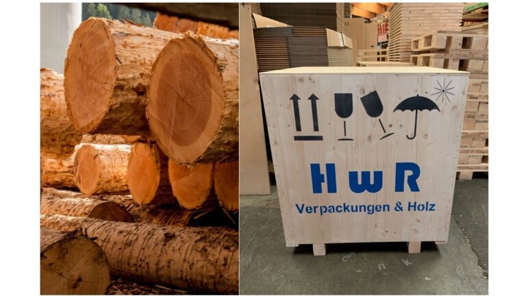 Du tronc d’arbre au produit fini – tout provient d’une seule source