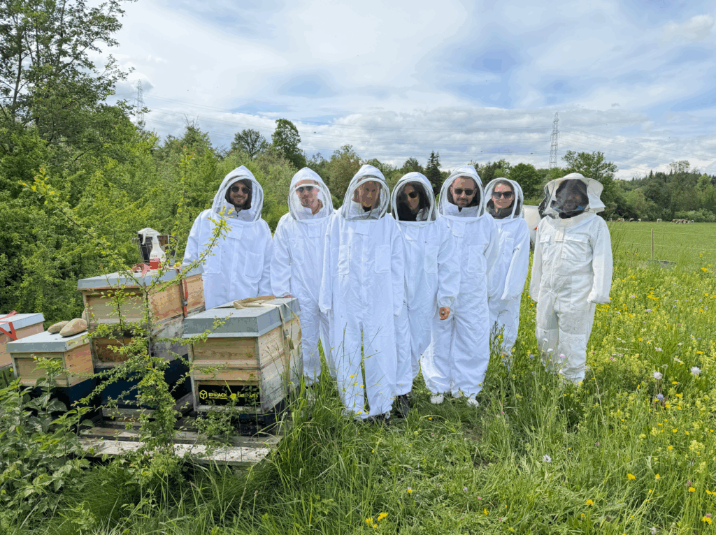 Bienenvolk im Rahmen der ESG-Initiative der EMPACK Schweiz mit Fokus auf Nachhaltigkeit und Biodiversität