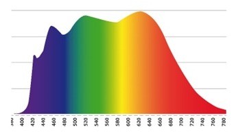 “Breng de zon naar binnen”