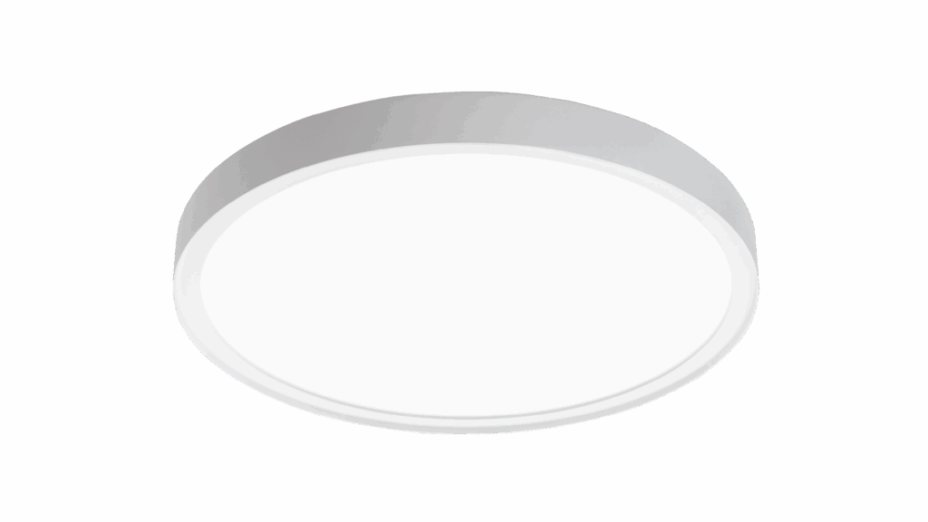 DISC DI 290mm en 480mm